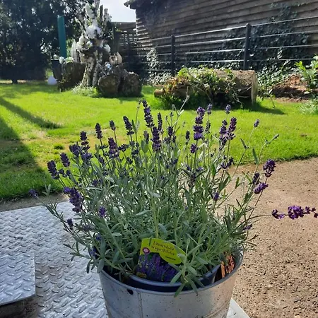 Casa vacanze Max Mit Sauna Rehburg-Loccum