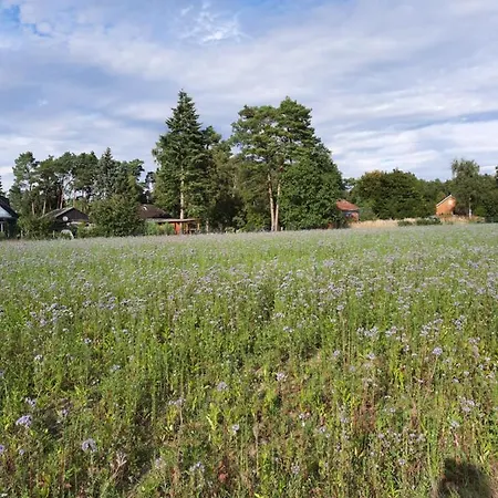 Max Mit Sauna Rehburg-Loccum