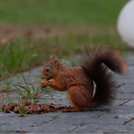 Max Mit Sauna Rehburg-Loccum