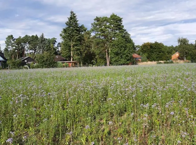Max Mit Sauna Rehburg-Loccum