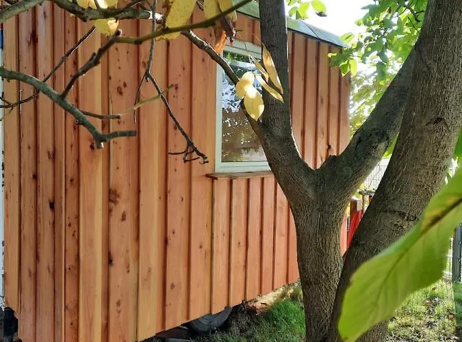 Max Mit Sauna Tatil Evi *