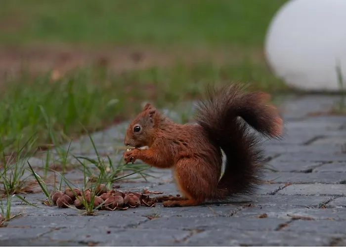 Max Mit Sauna Rehburg-Loccum